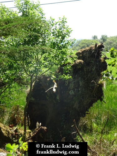 Around Lough Nasool